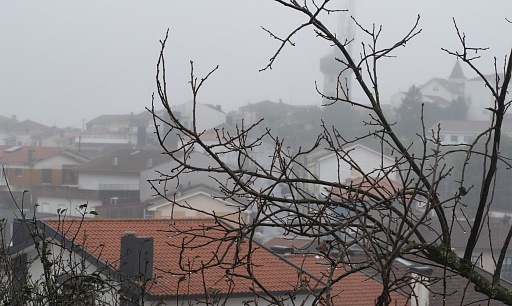 Winter in Gondomar