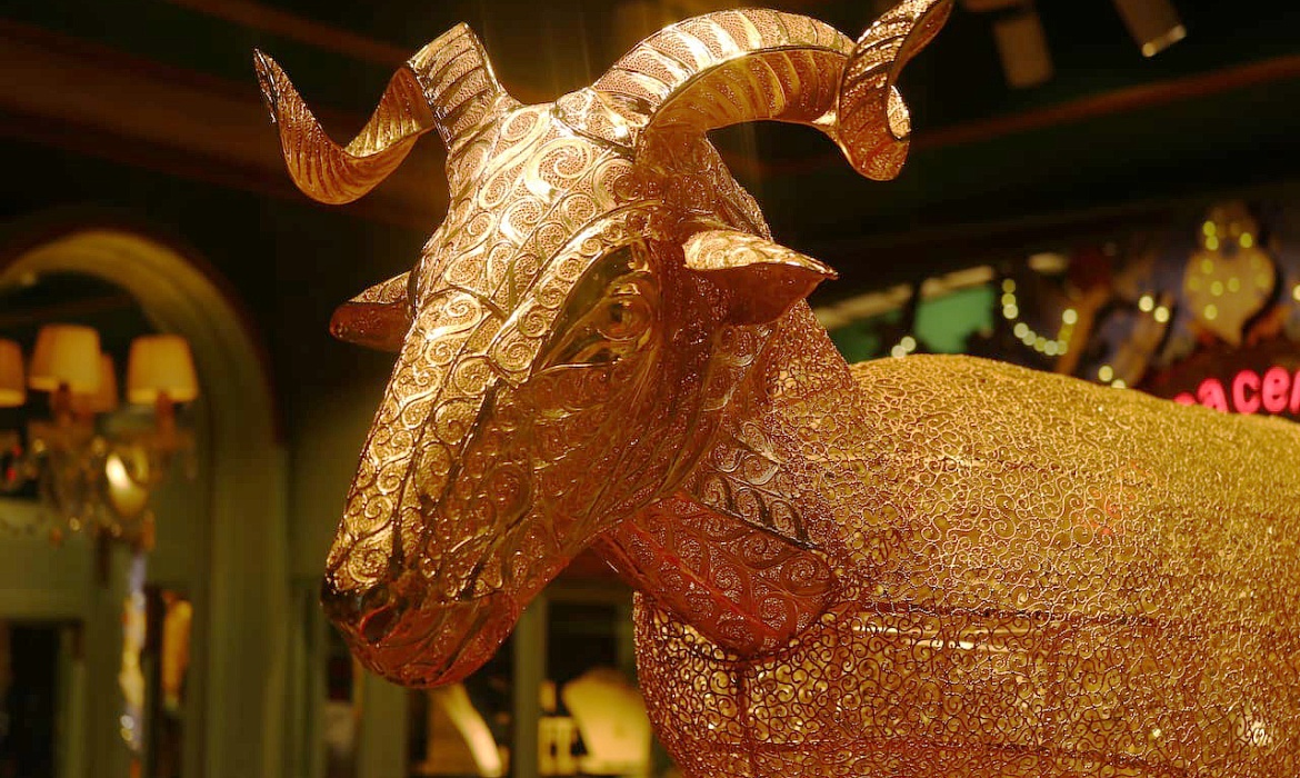 Golden sheep 